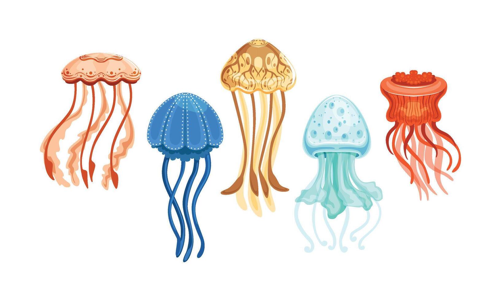 Jellyfish Collection, Beautiful Swimming Marine Creatures Set Illustration vector