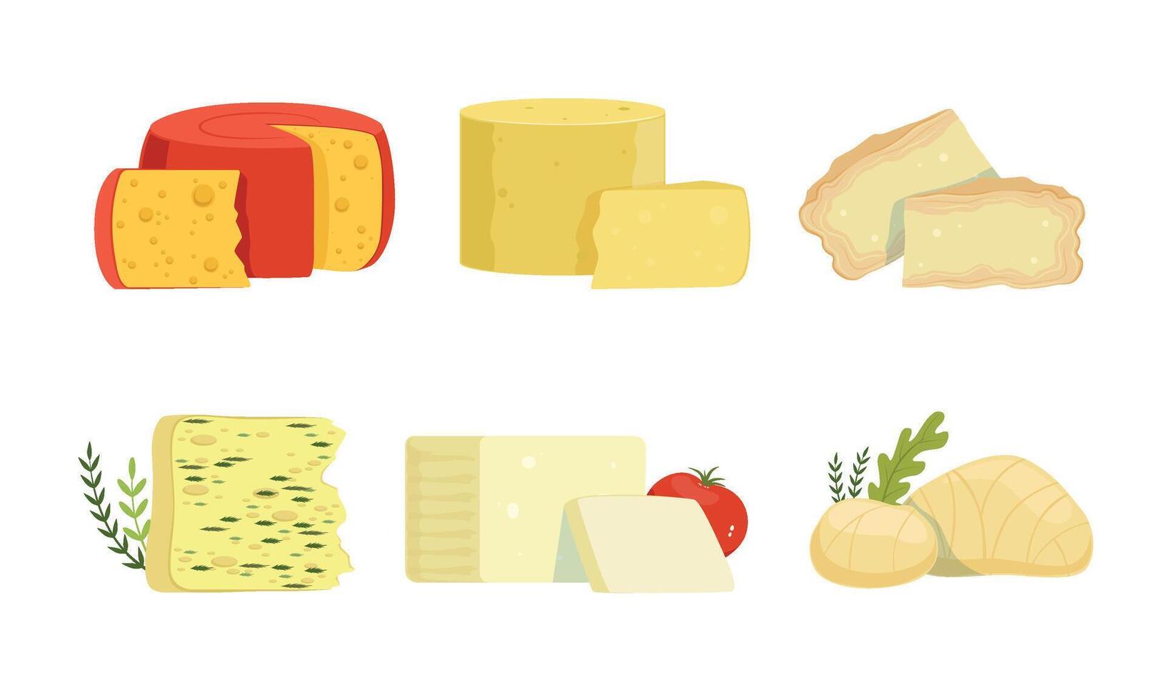 Various Varieties of Cheese Collection, Delicious Fresh Dairy Products Illustration on White Background vector