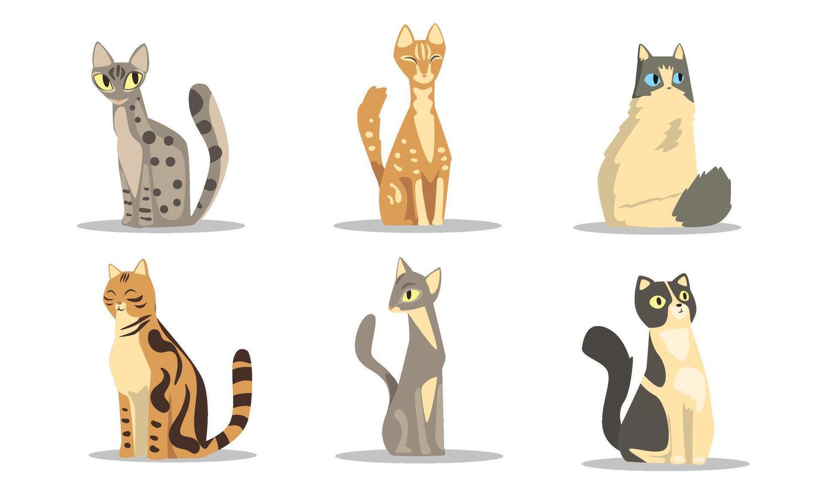 Collection of Different Cats Breeds, Beautiful Pet Animals of Various Colors Illustration on White Background vector