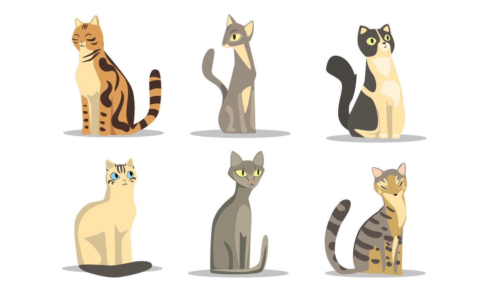 Collection of Different Cats Breeds, Lovely Pussycats of Various Colors Illustration on White Background vector