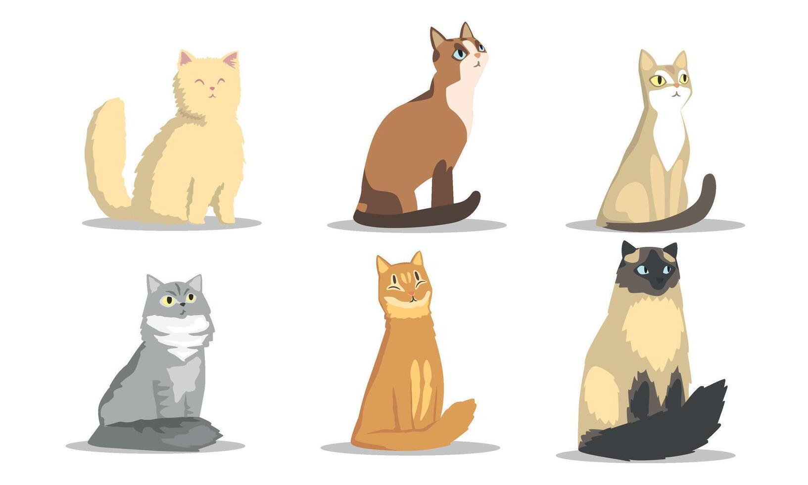 Collection of Different Cats Breeds, Lovely Pussycats Animals of Various Colors Illustration on White Background vector
