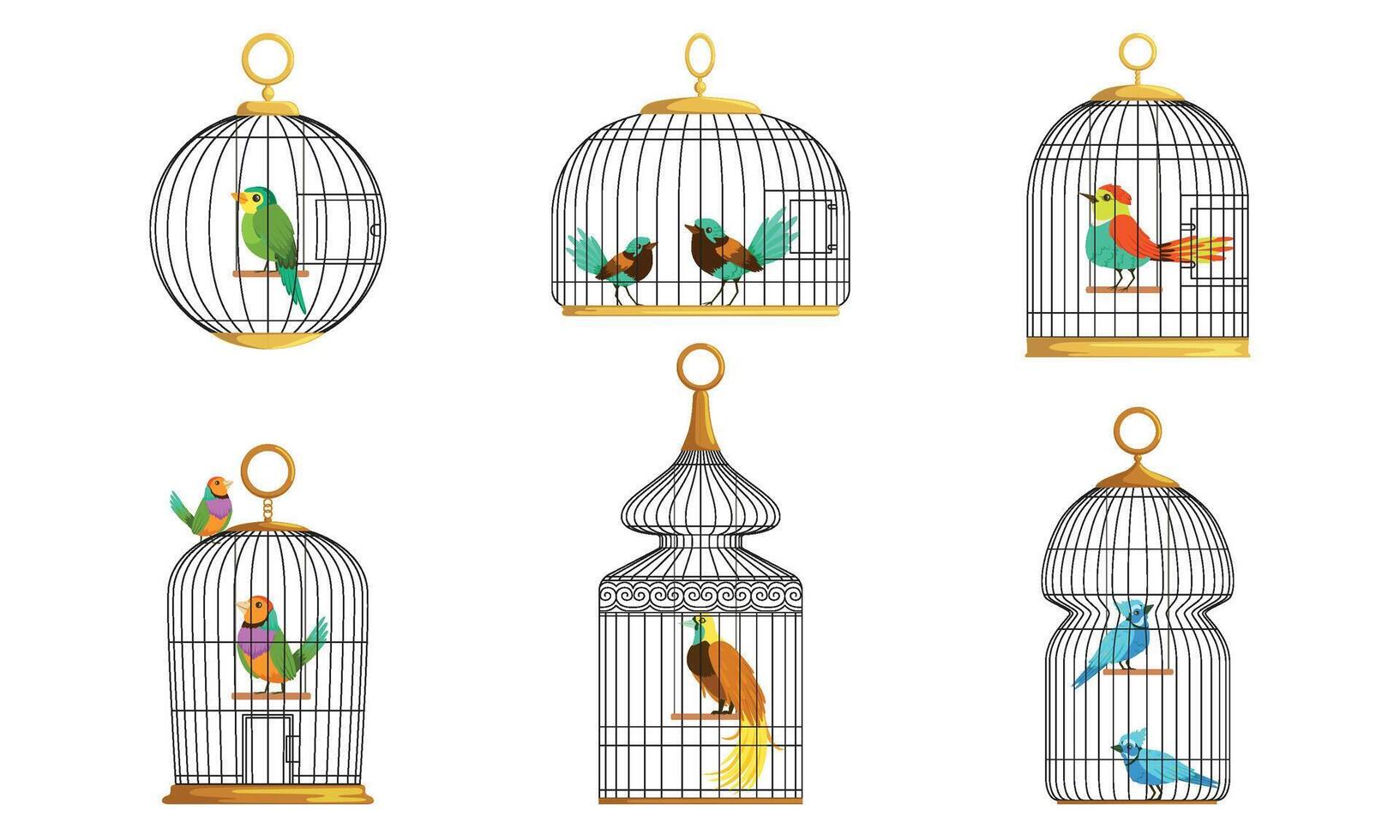 Exotic Birds in Cages Collection, Cute Colorful Birdies Illustration on White Background vector