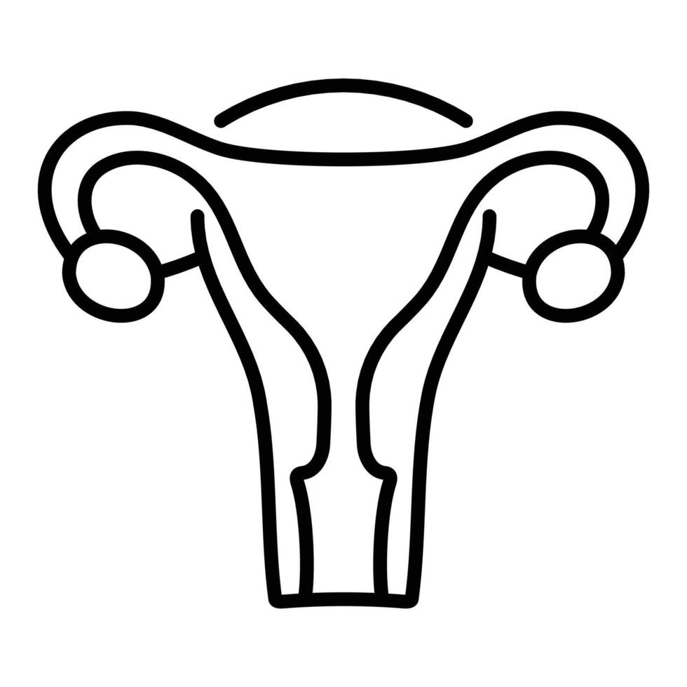Uterus line icon vector