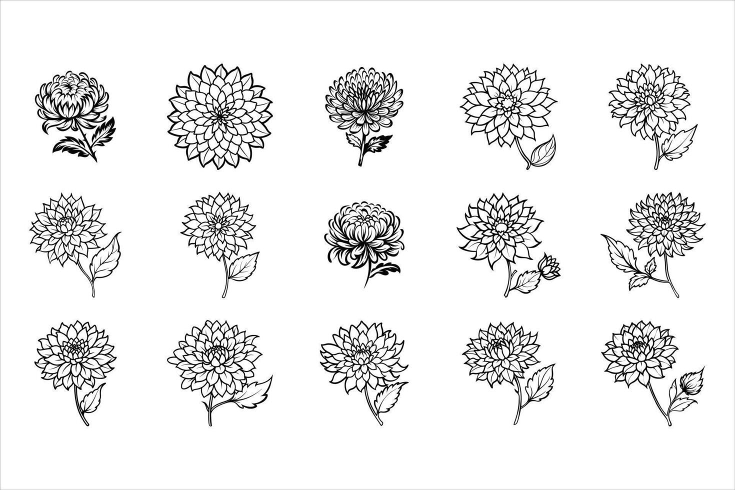 Stunning Chrysanthemum Floral Arrangements for Events vector