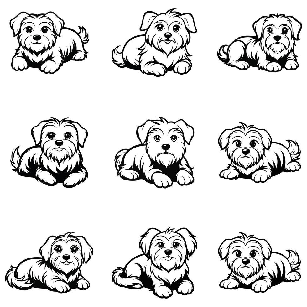 Maltese Squad Goals vector