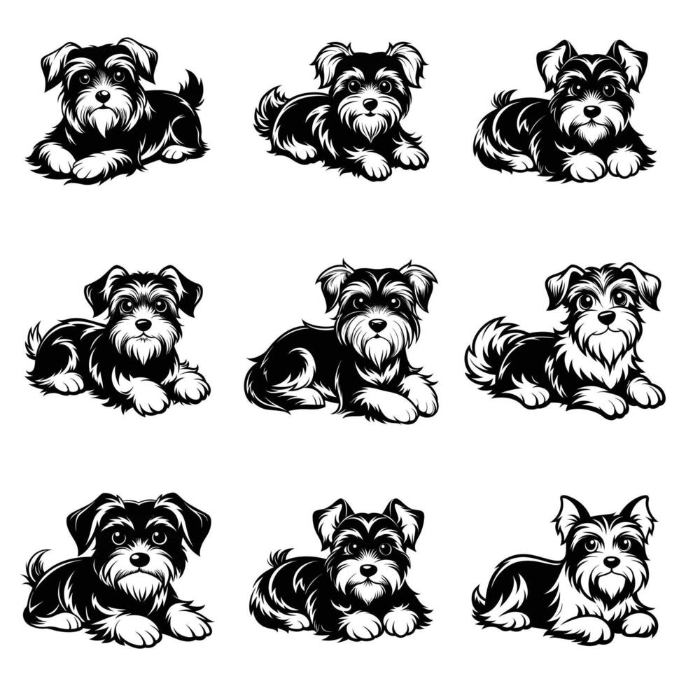 The Affenpinscher Way vector