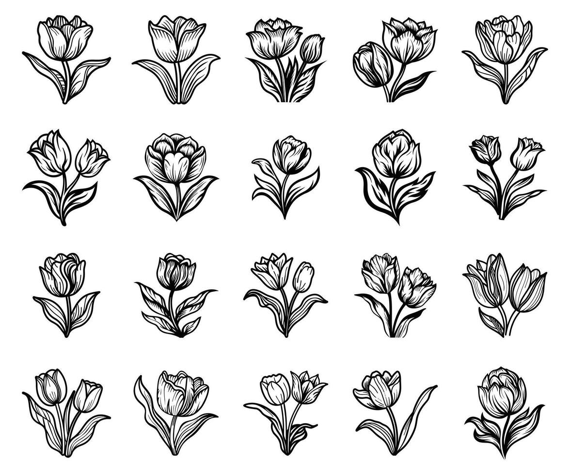 Life In Full Bloom Tulip Magic vector