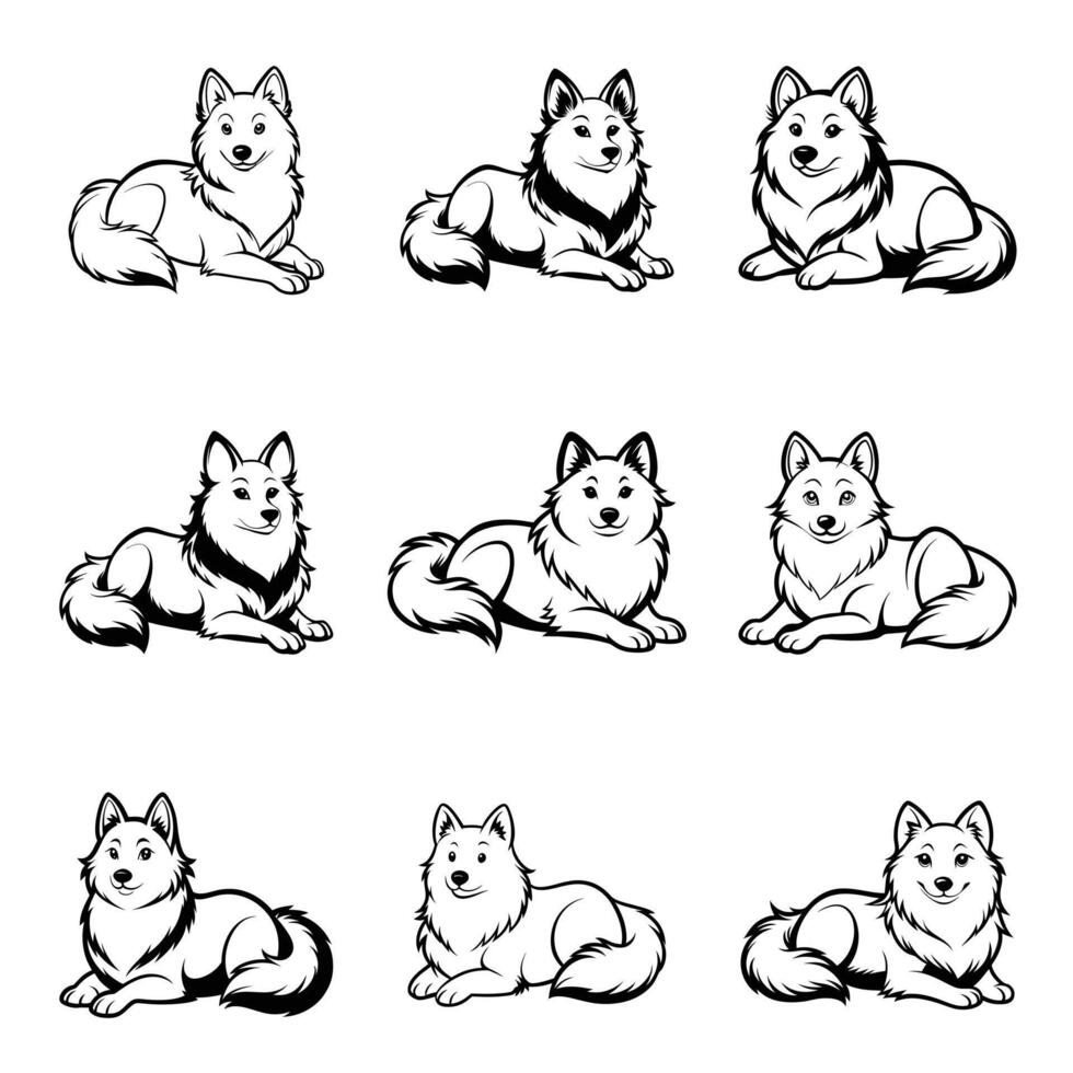 American Eskimo Spirit vector