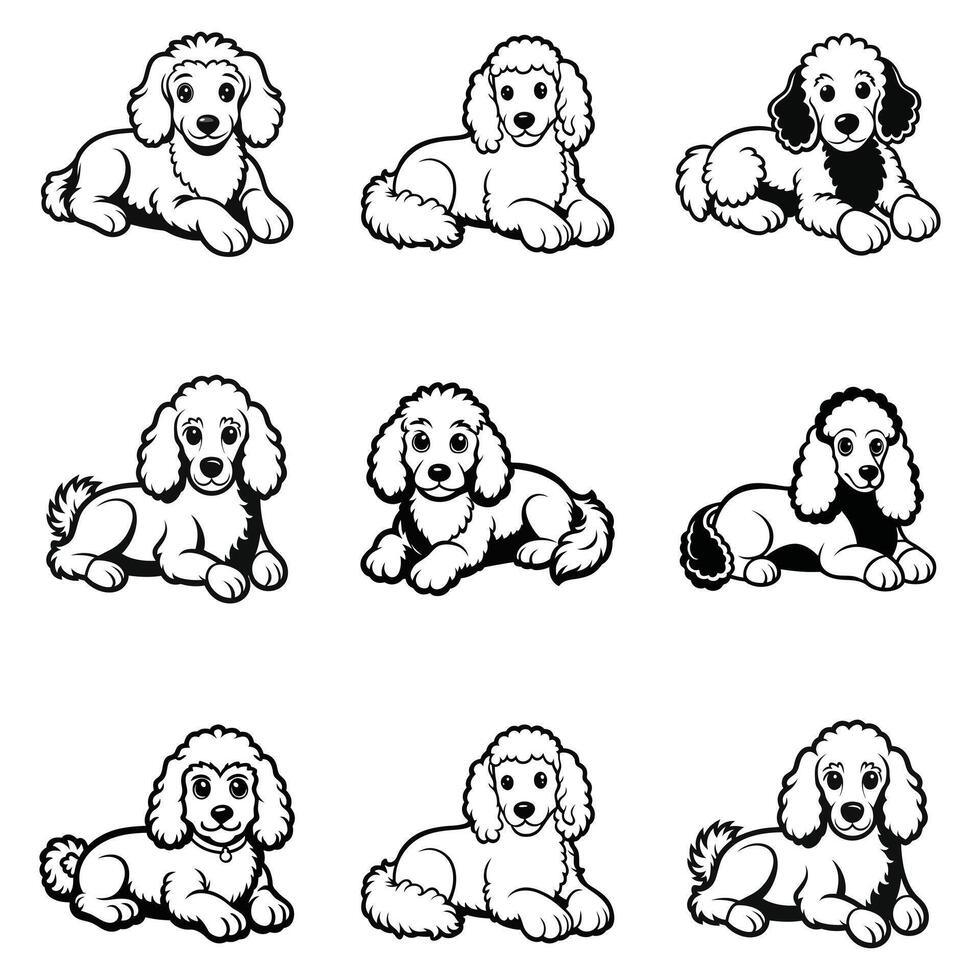 The Poodle Life vector
