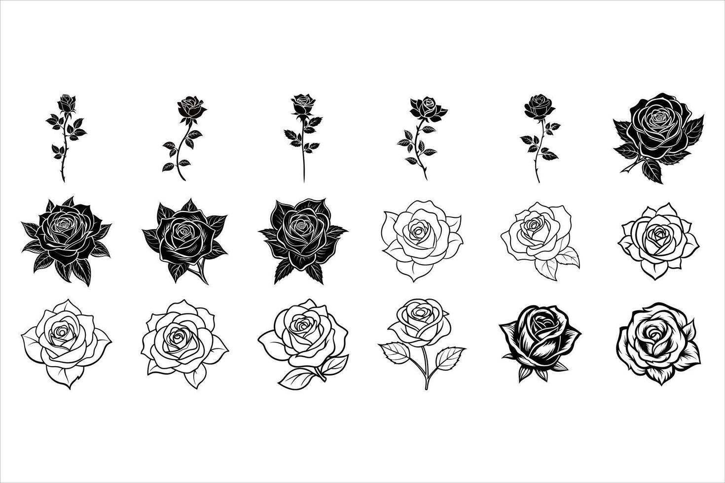 Elegant And Timeless Rose Beauty vector