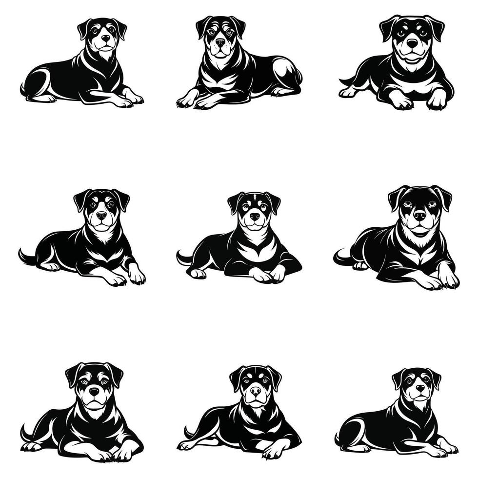 Strong And Loyal Rottweiler vector