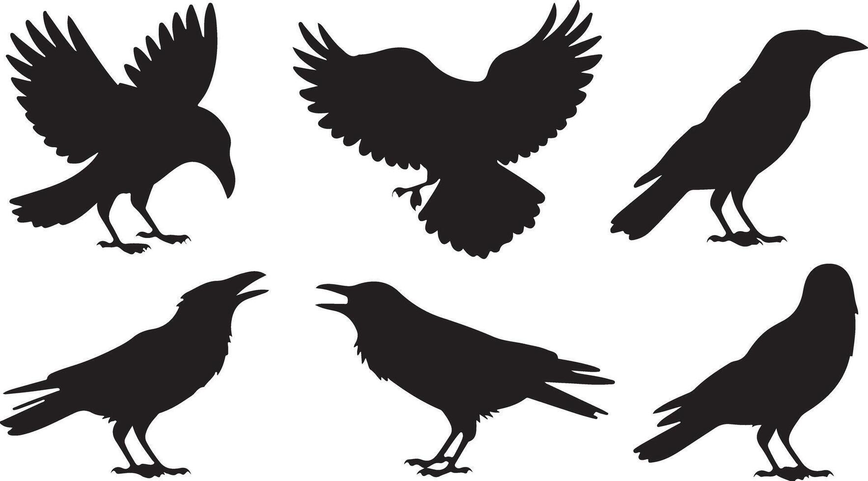 Black Crow silhouettes vector