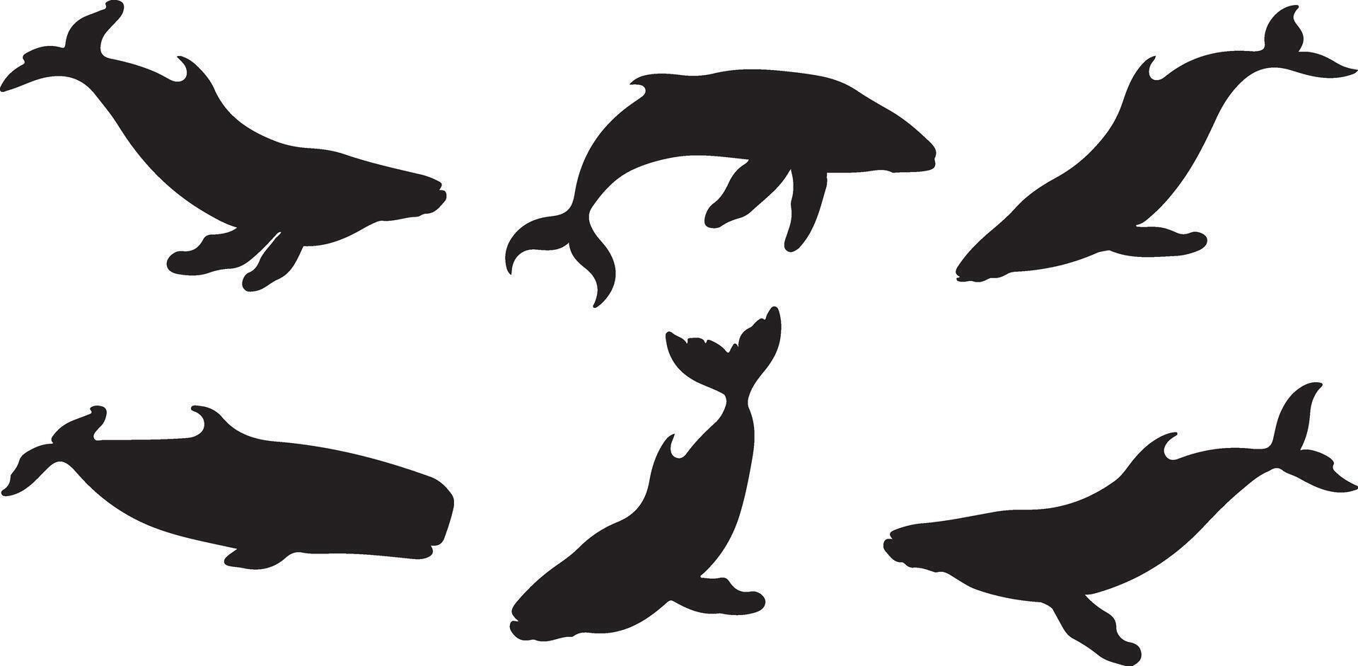 Whale silhouette set vector