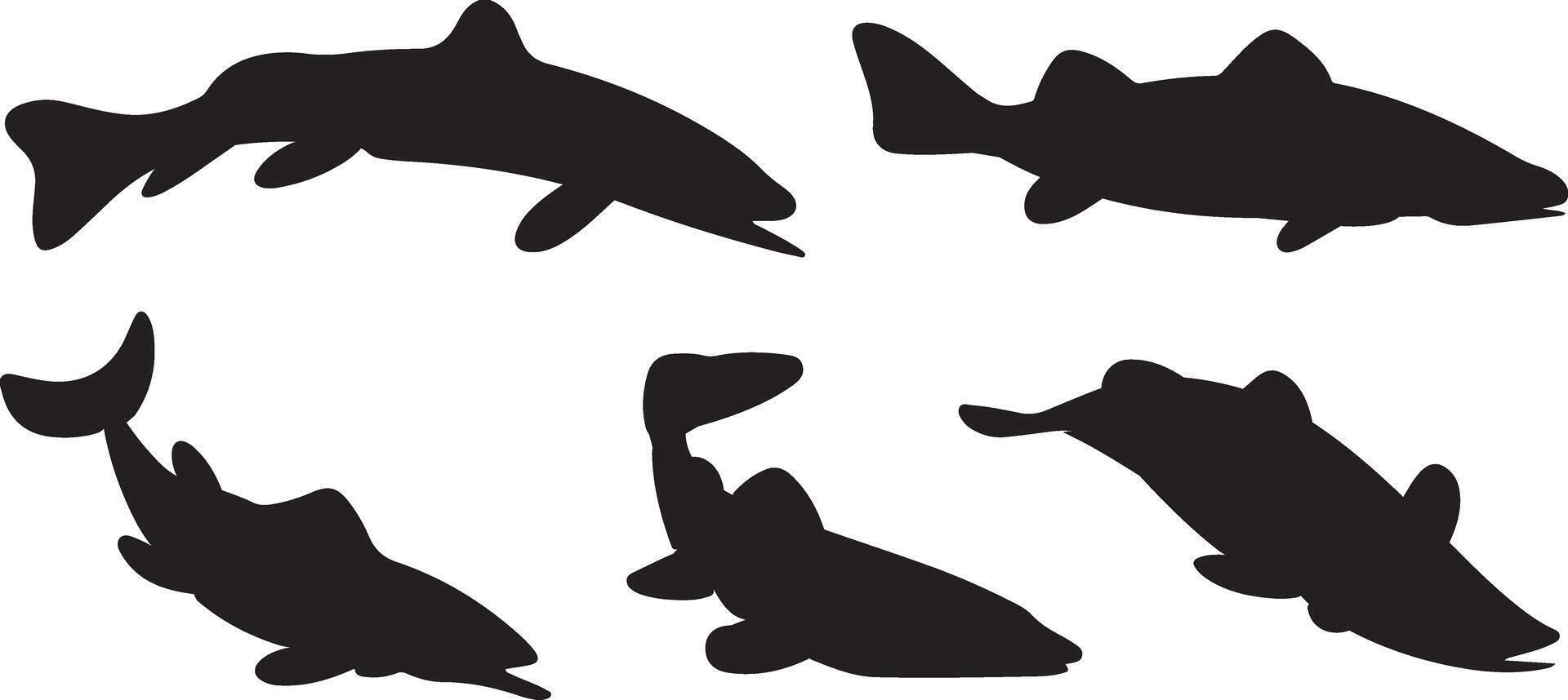 silhouettes Of Sturgeon vector
