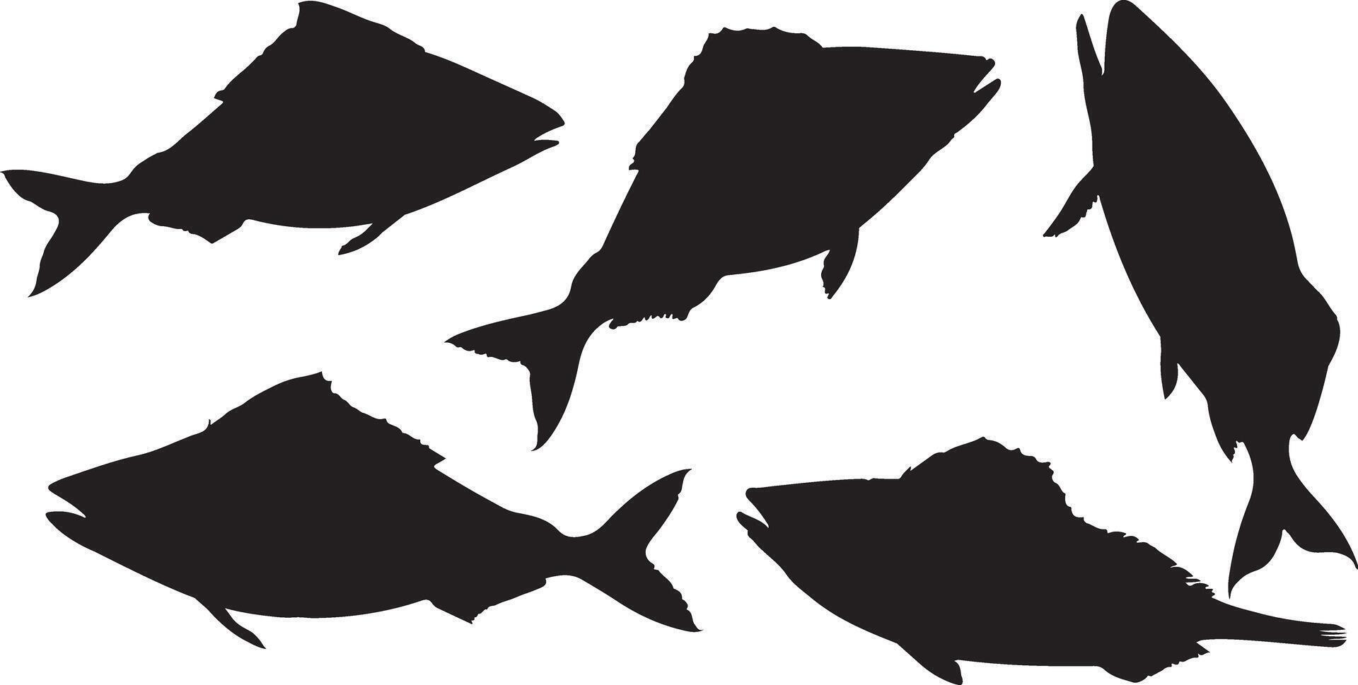 Collection of Haddock silhouettes vector