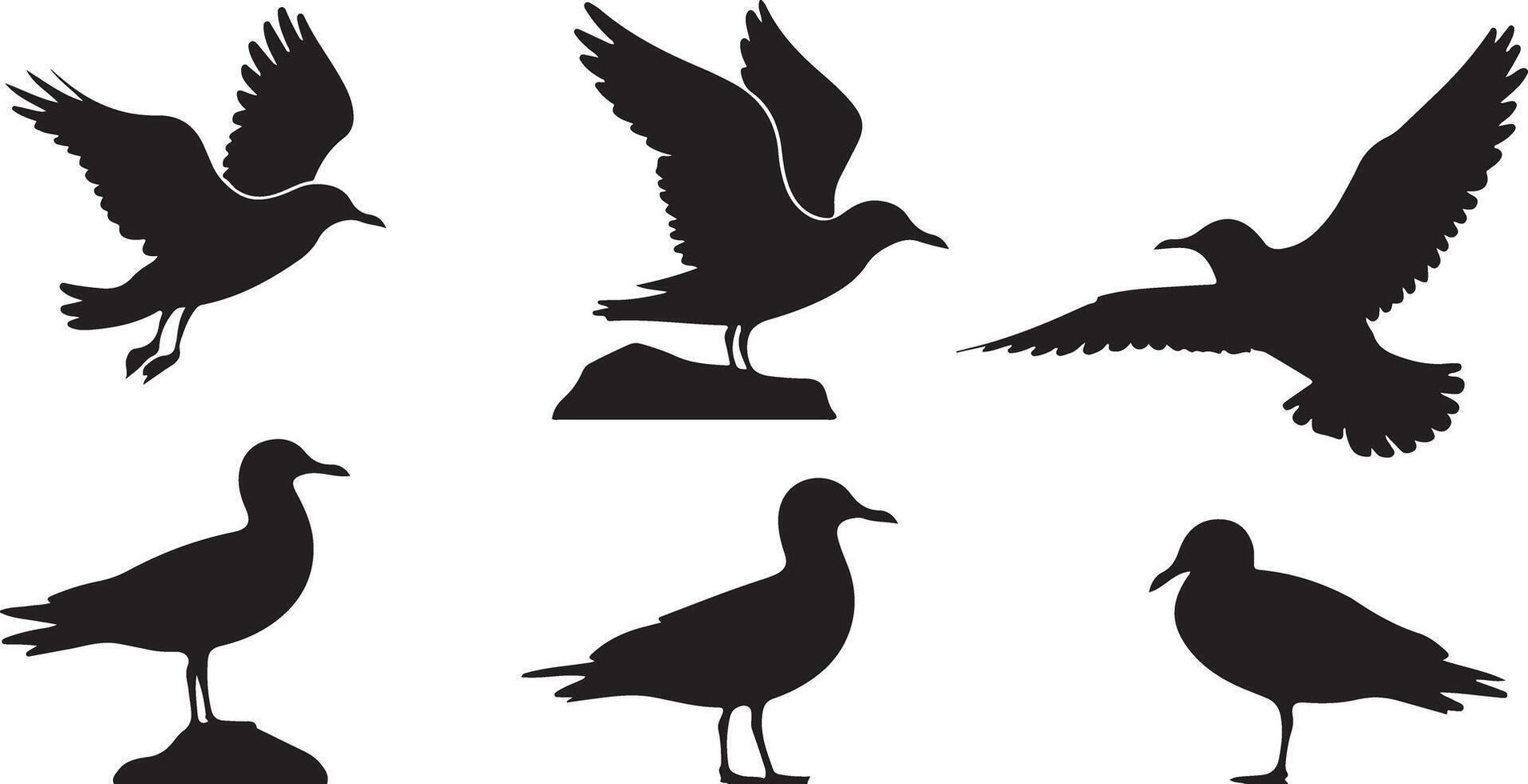 Set of Seagull silhouette vector