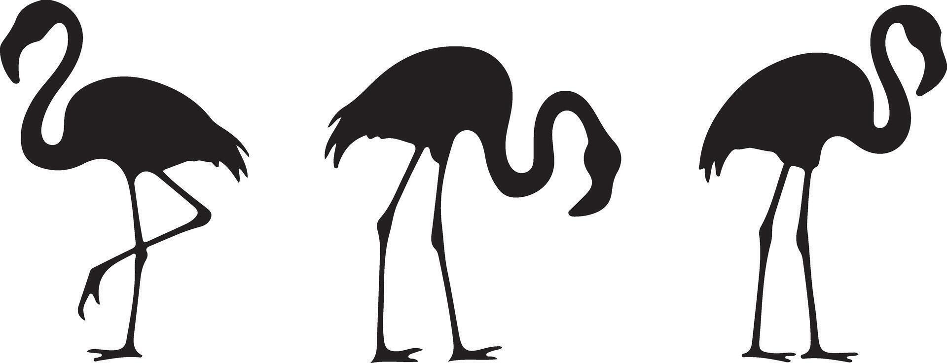 Set of Flamingo silhouettes vector