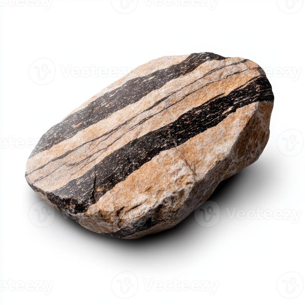 a single piece of a gneiss with banded texture on white background photo