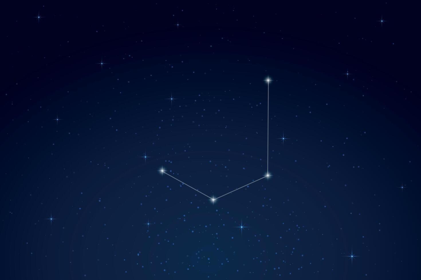Mensa Constellation with Star Names in Night Sky vector