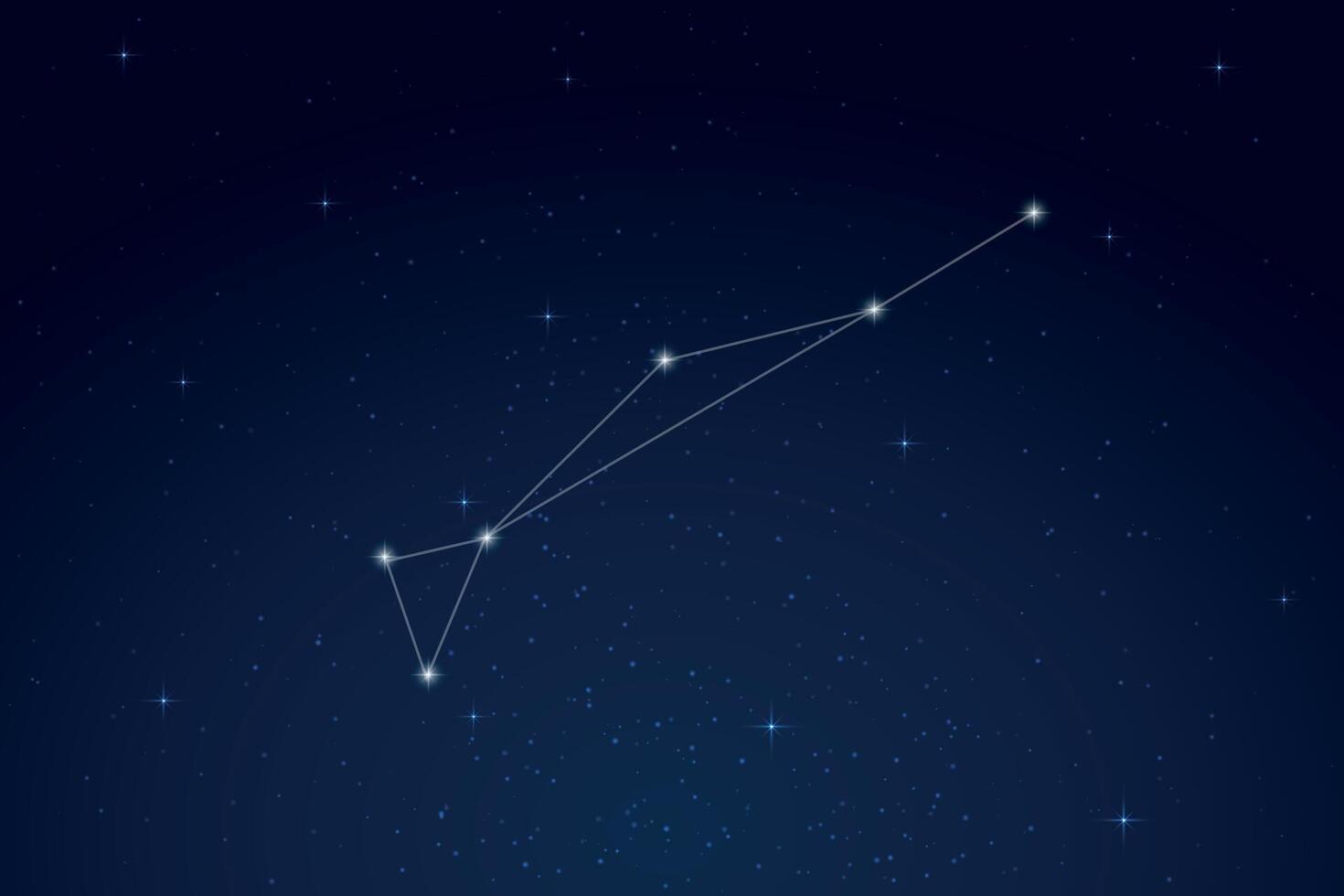 Dorado Constellation with Star Names in Night Sky vector