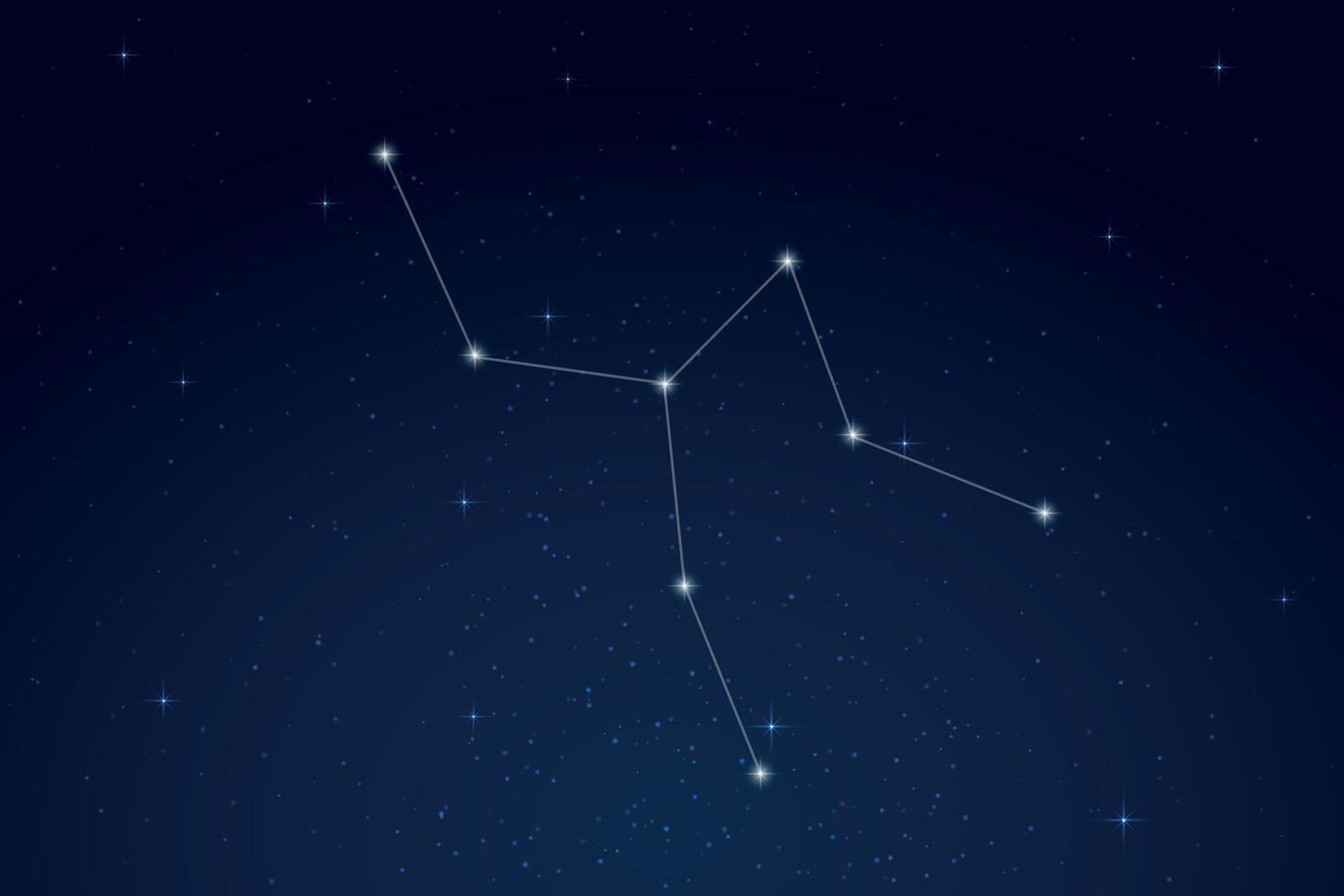 Camelopardalis Constellation with Star Names in Night Sky vector