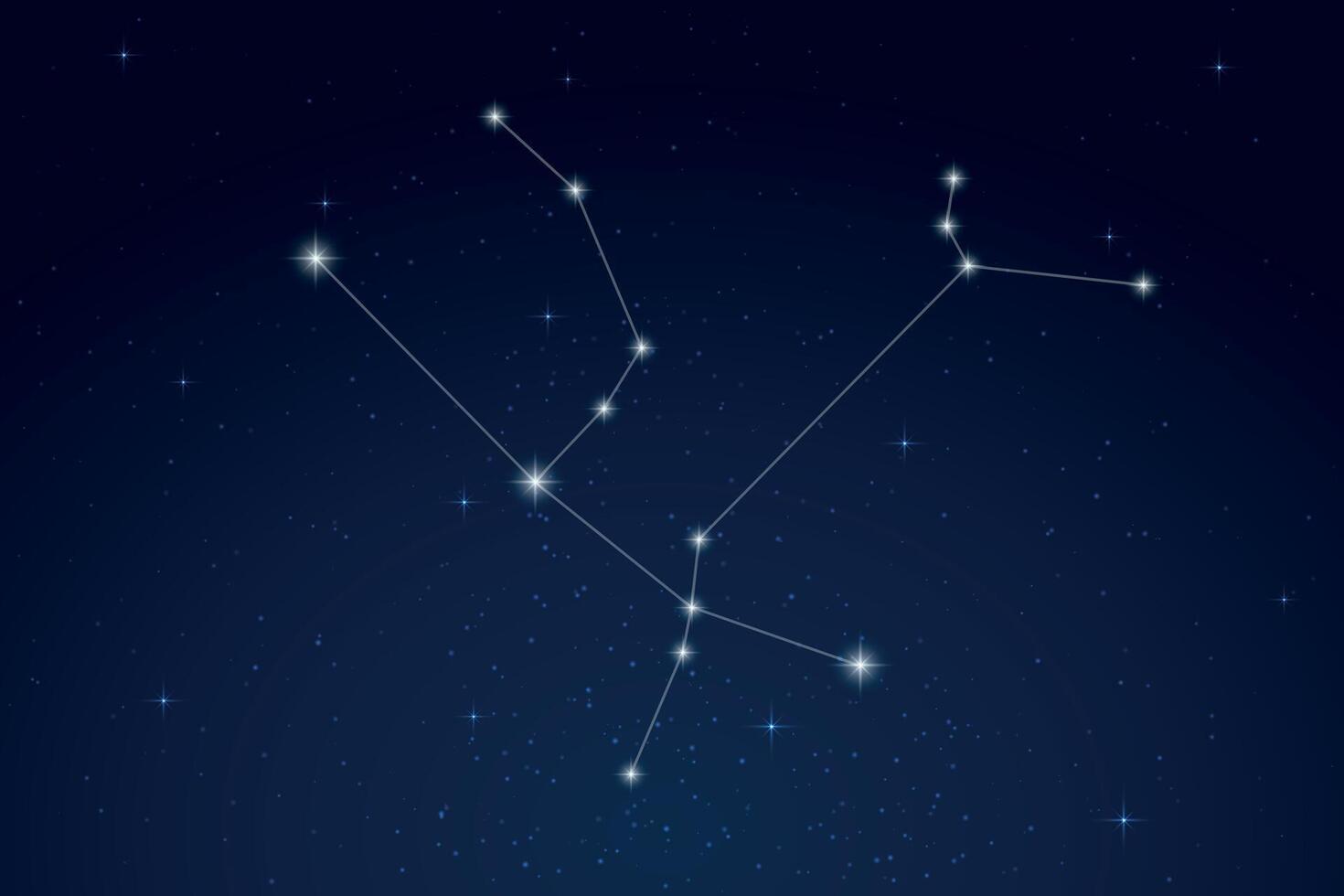 Andromeda Constellation with Star Names in Night Sky vector