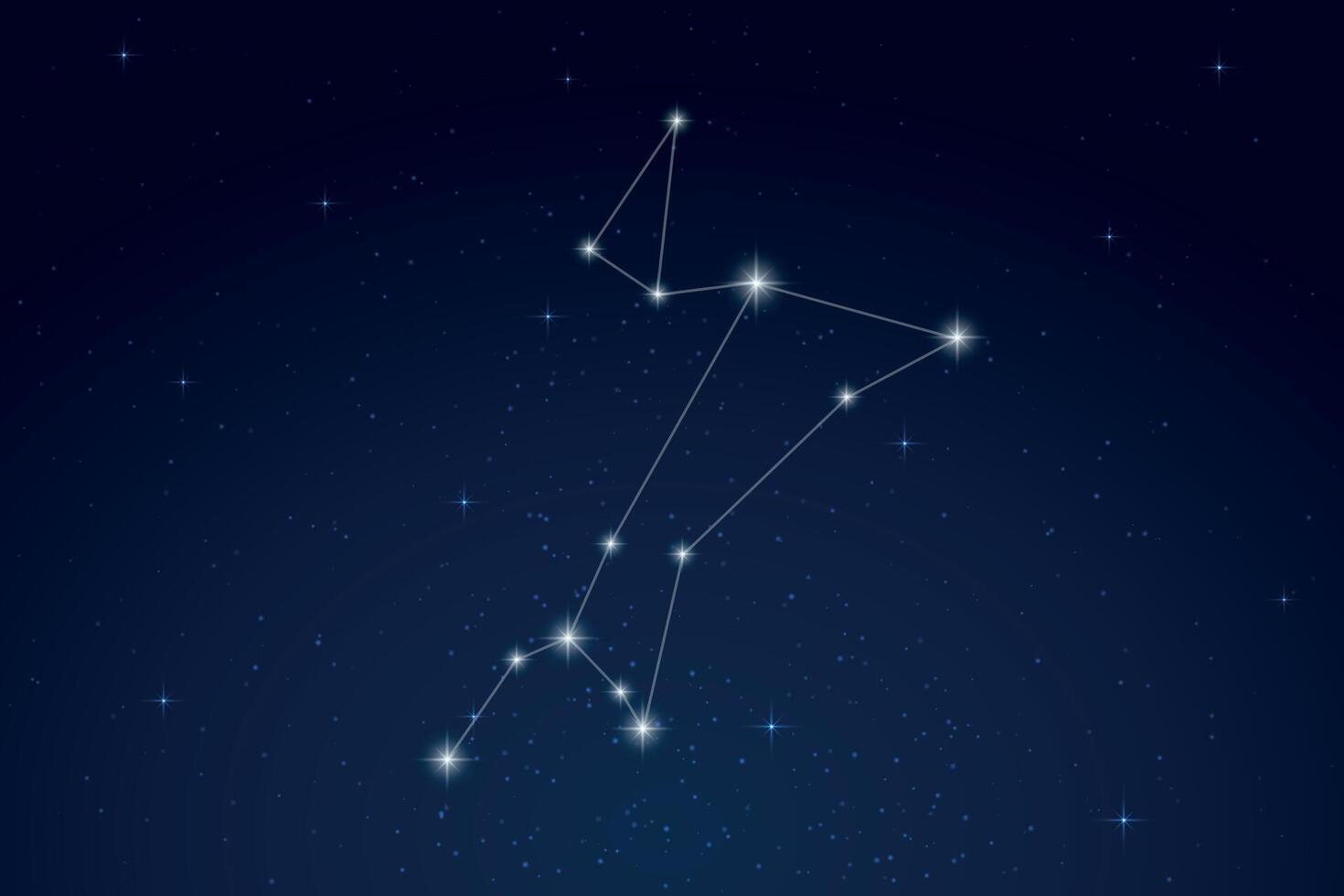 Canis Major Constellation with Star Names in Night Sky vector