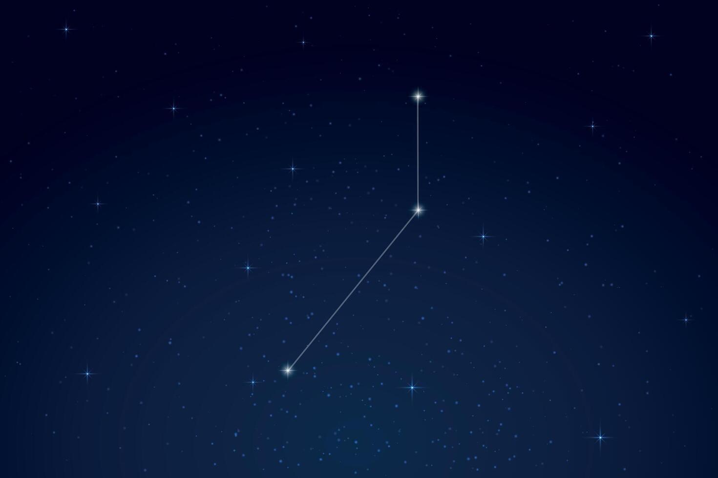 Pictor Constellation with Star Names in Night Sky vector