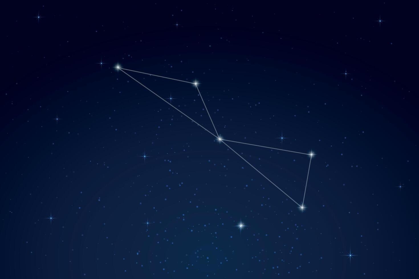 Volans Constellation with Star Names in Night Sky vector