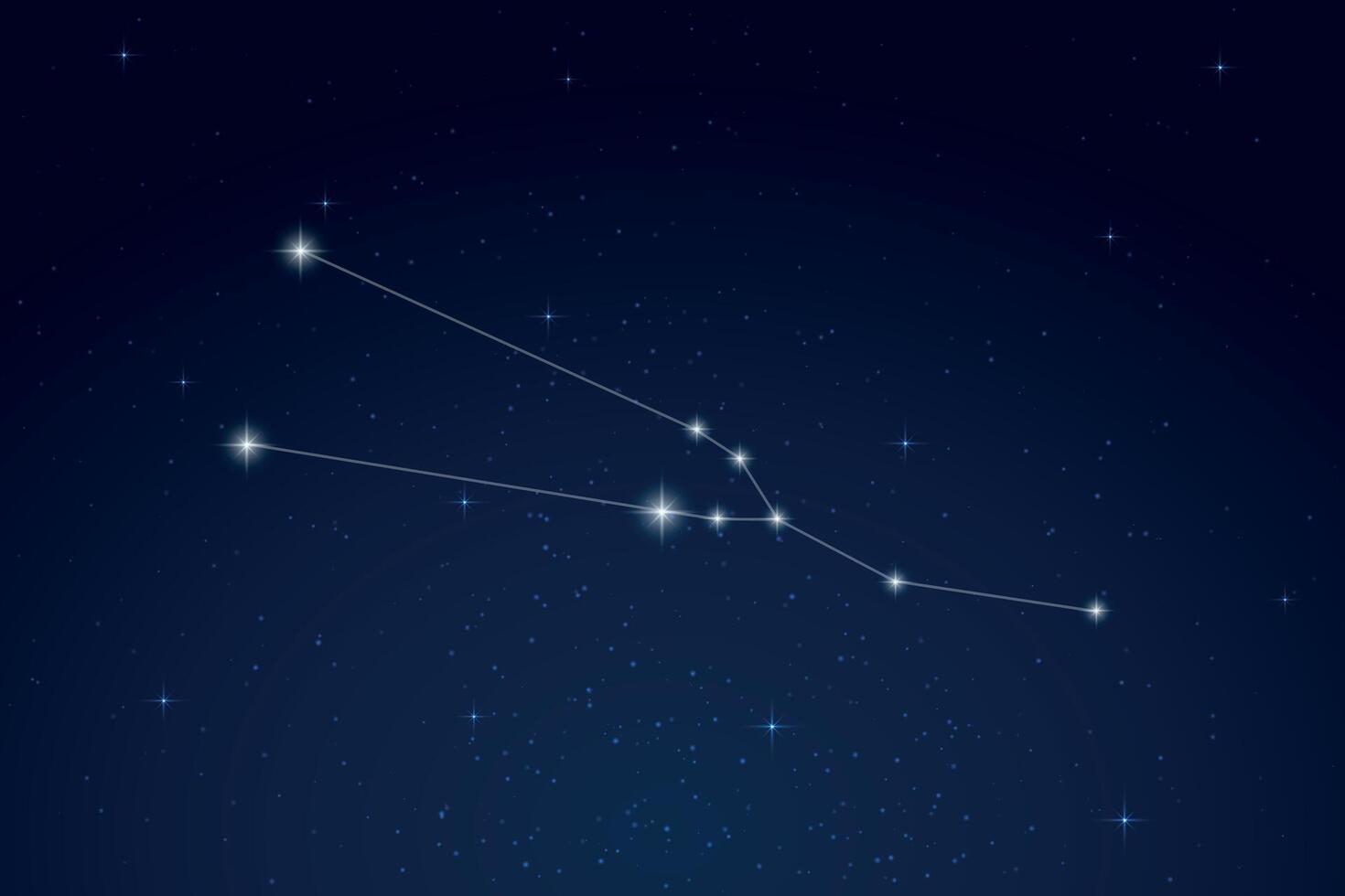 Taurus Constellation with Star Names in Night Sky vector