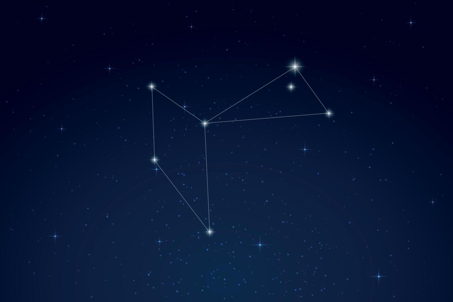 Phoenix Constellation with Star Names in Night Sky vector