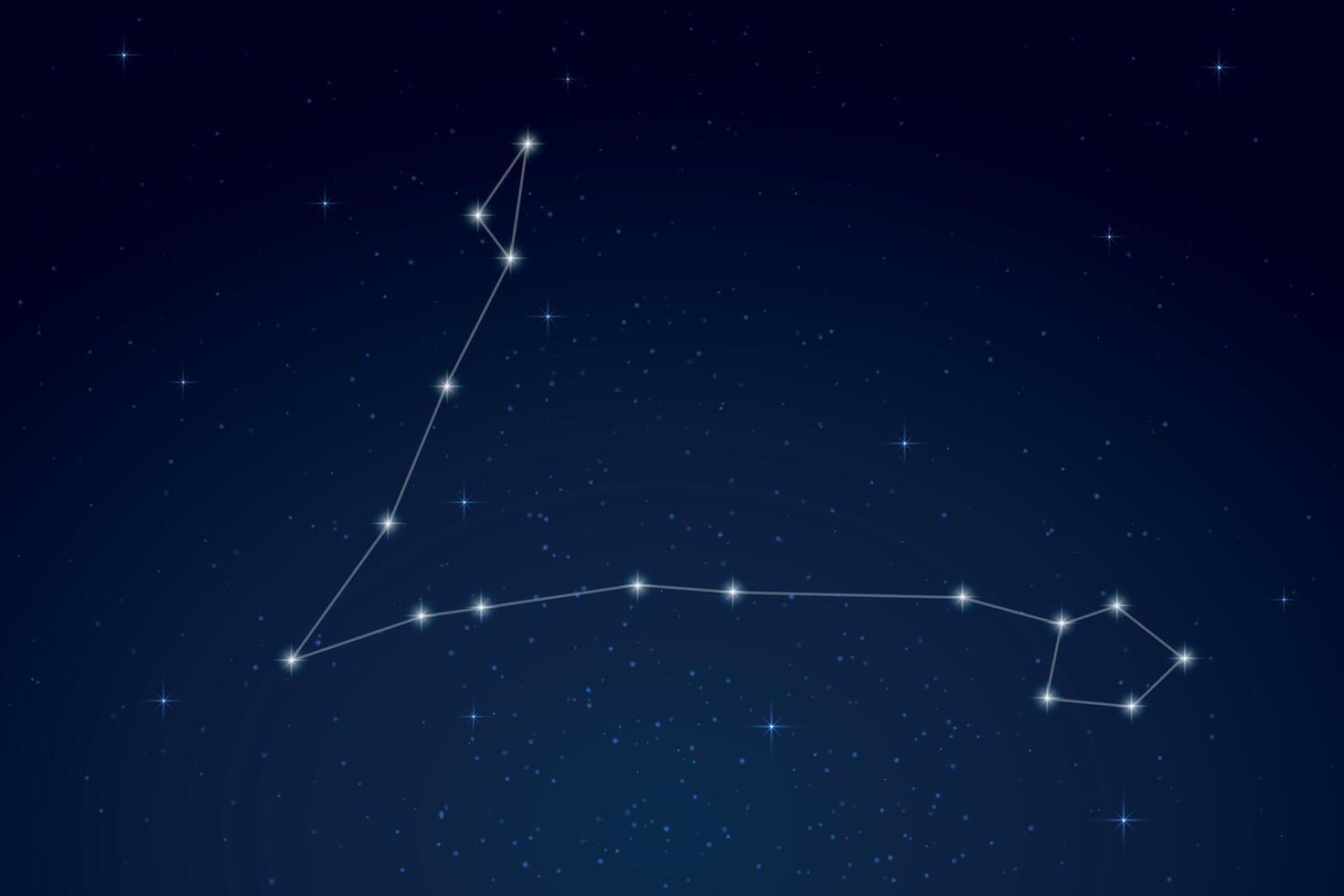 Pisces Constellation with Star Names in Night Sky vector