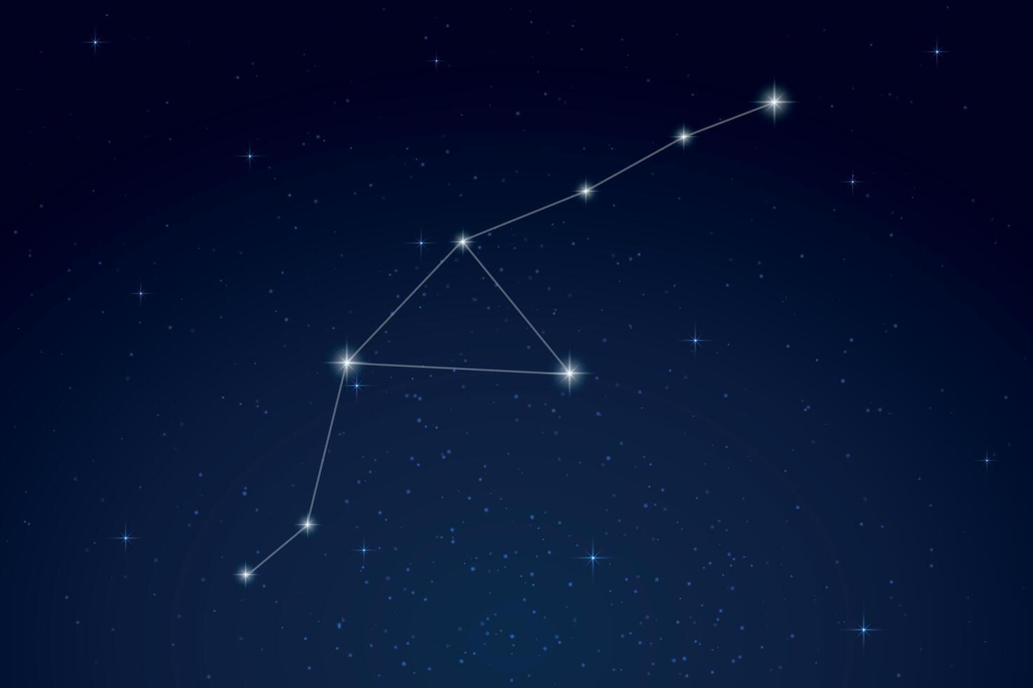 Grus Constellation with Star Names in Night Sky vector