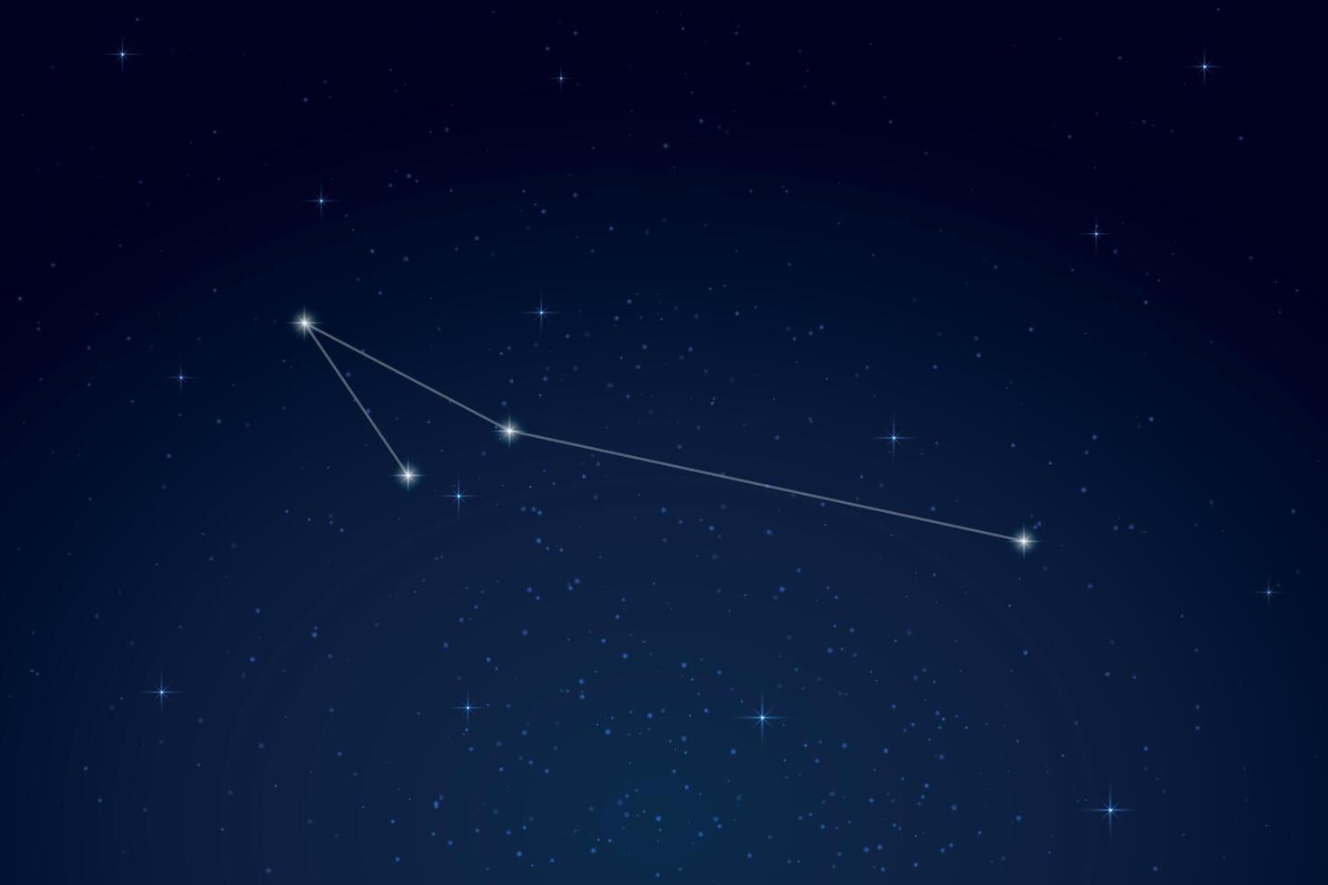 Apus Constellation with Star Names in Night Sky vector