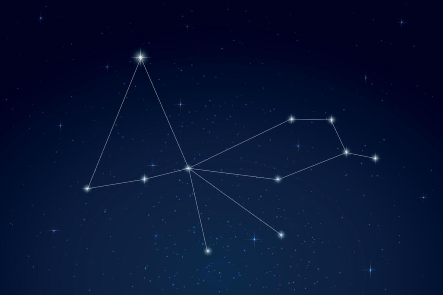 Pavo Constellation with Star Names in Night Sky vector