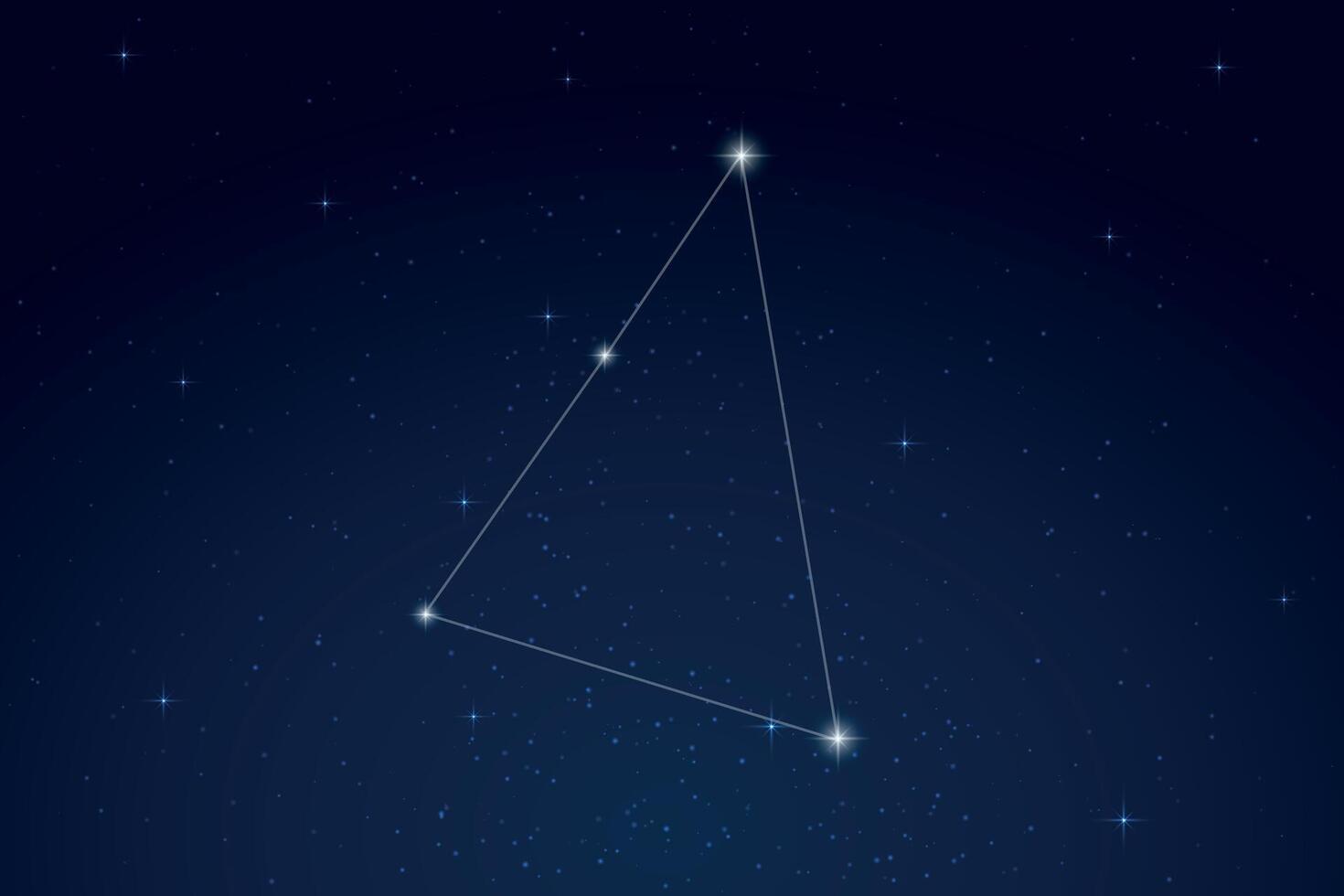 Hydrus Constellation with Star Names in Night Sky vector