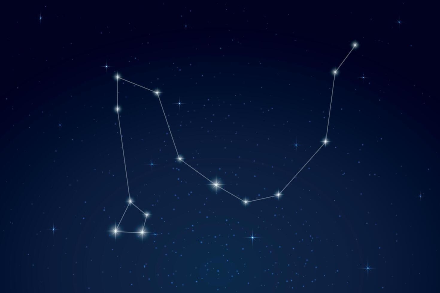 Draco Constellation with Star Names in Night Sky vector