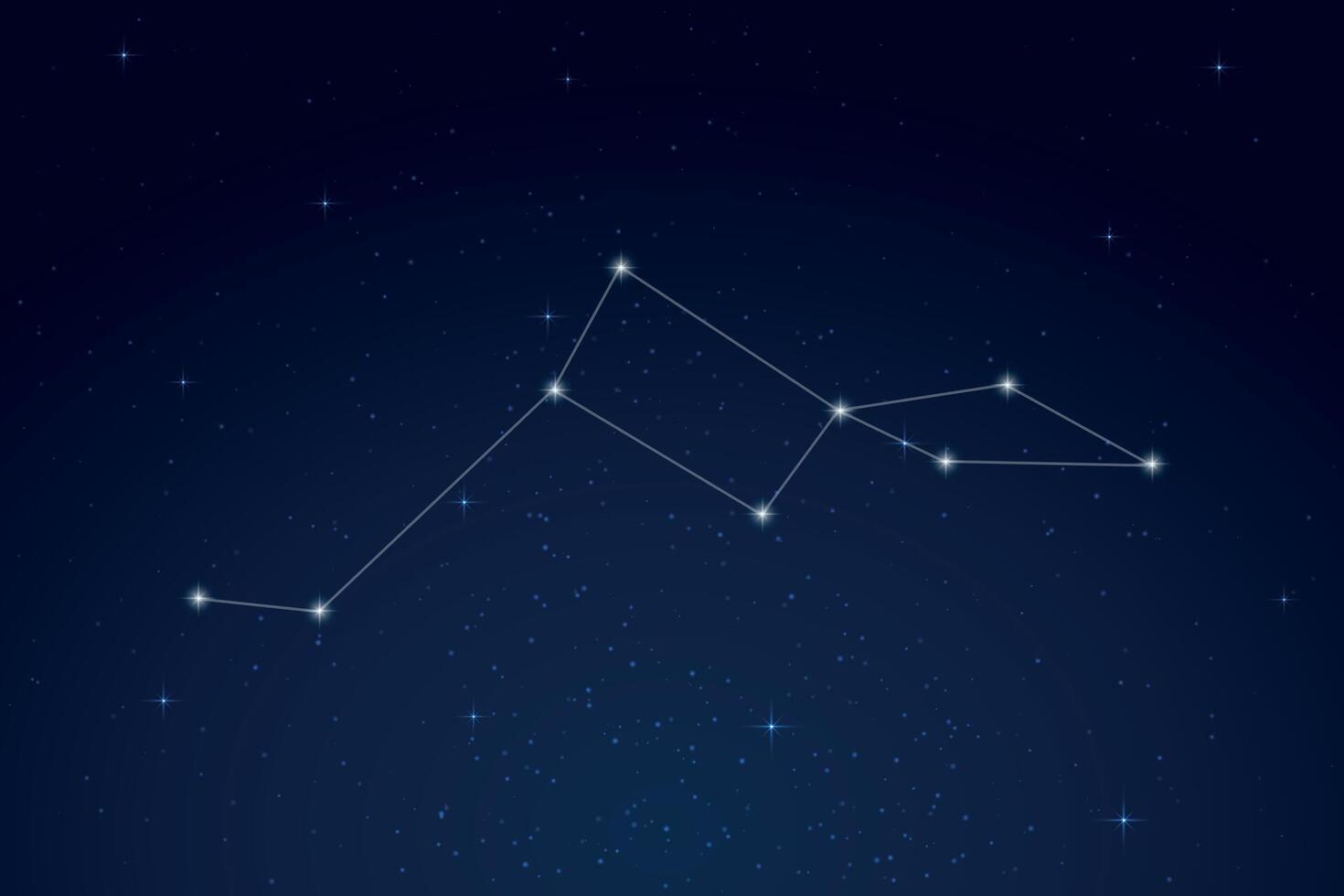 Lacerta Constellation with Star Names in Night Sky vector