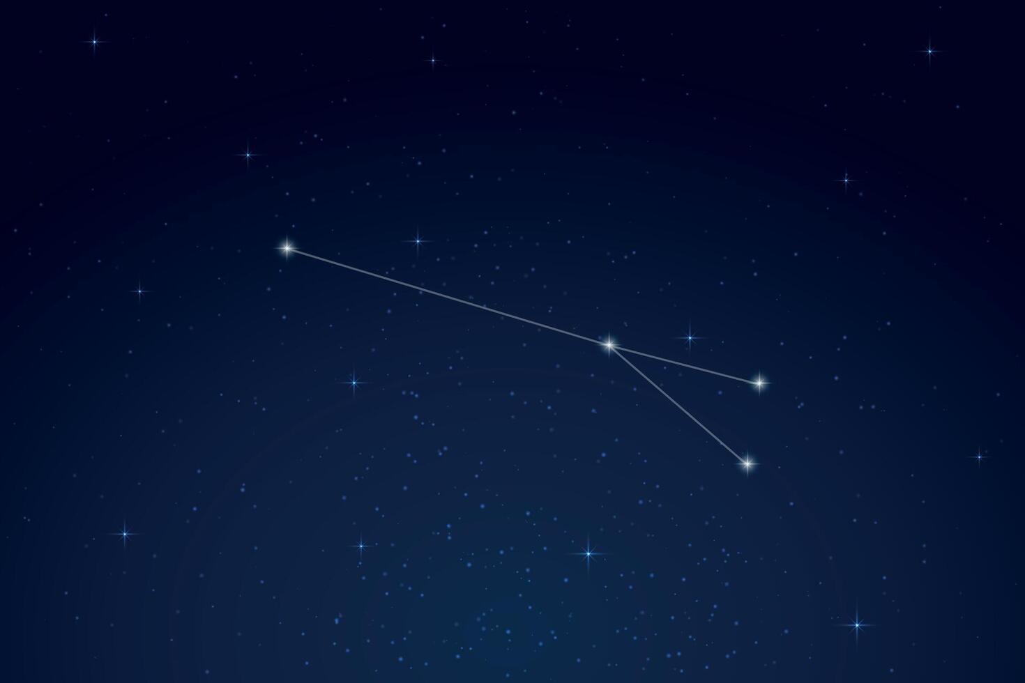 Sagitta Constellation with Star Names in Night Sky vector