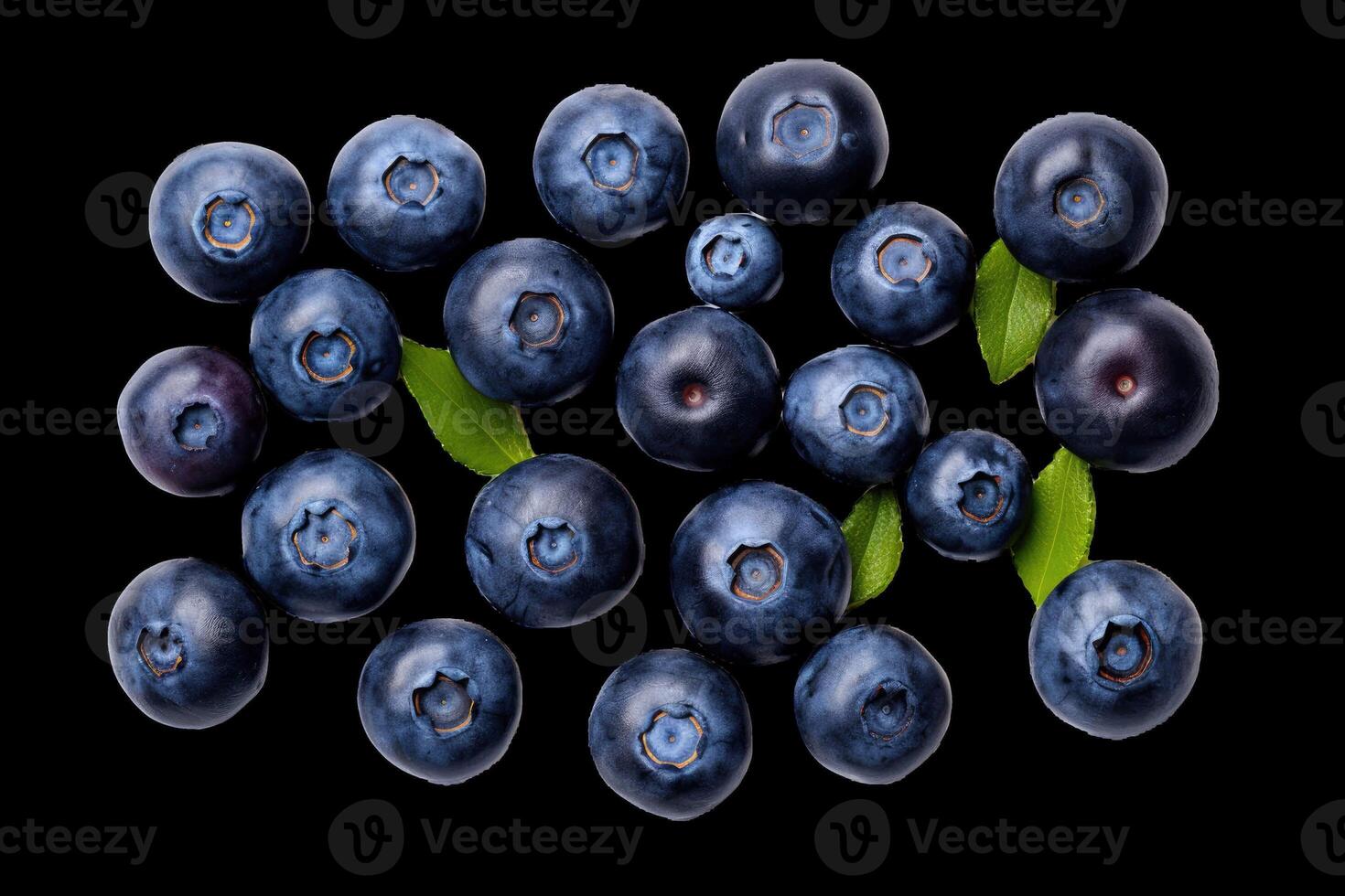 Top-down perspective of freshly picked blueberries placed on a transparent background. photo