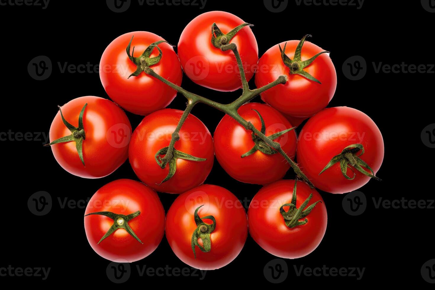 A bunch of tomatoes on a black background photo