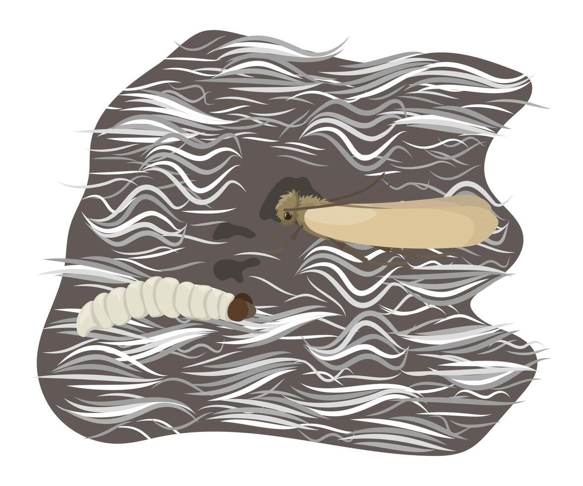 Clothes moth and larva eating wool, damaging textile fibers vector