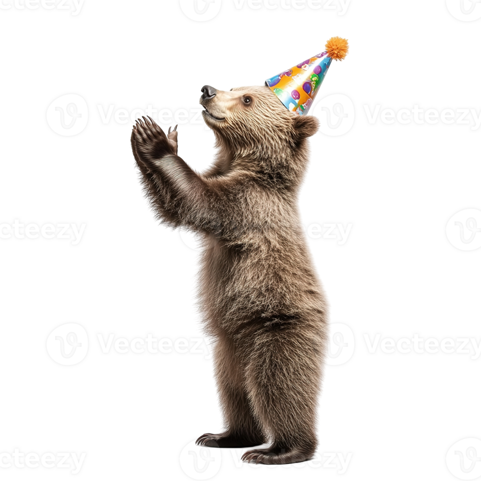 A brown bear standing and celebrating with a festive party hat png
