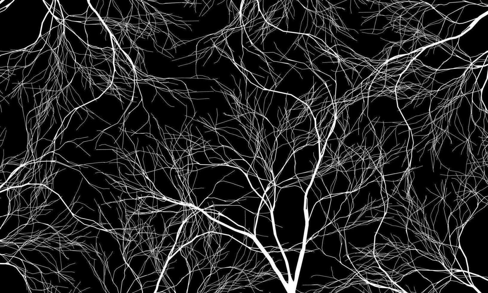 Abstract white roots pattern decorative black background. Line art tree. artistic vintage art. vector