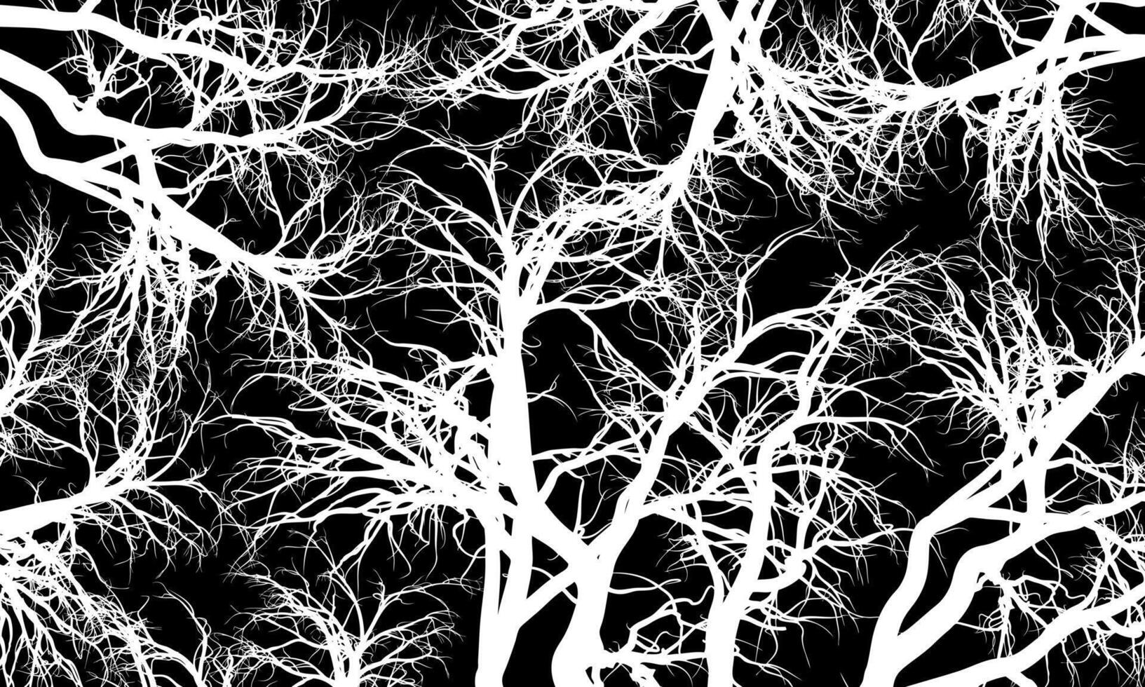 Abstract white roots pattern decorative black background. Line art tree. vintage decorative art. vector