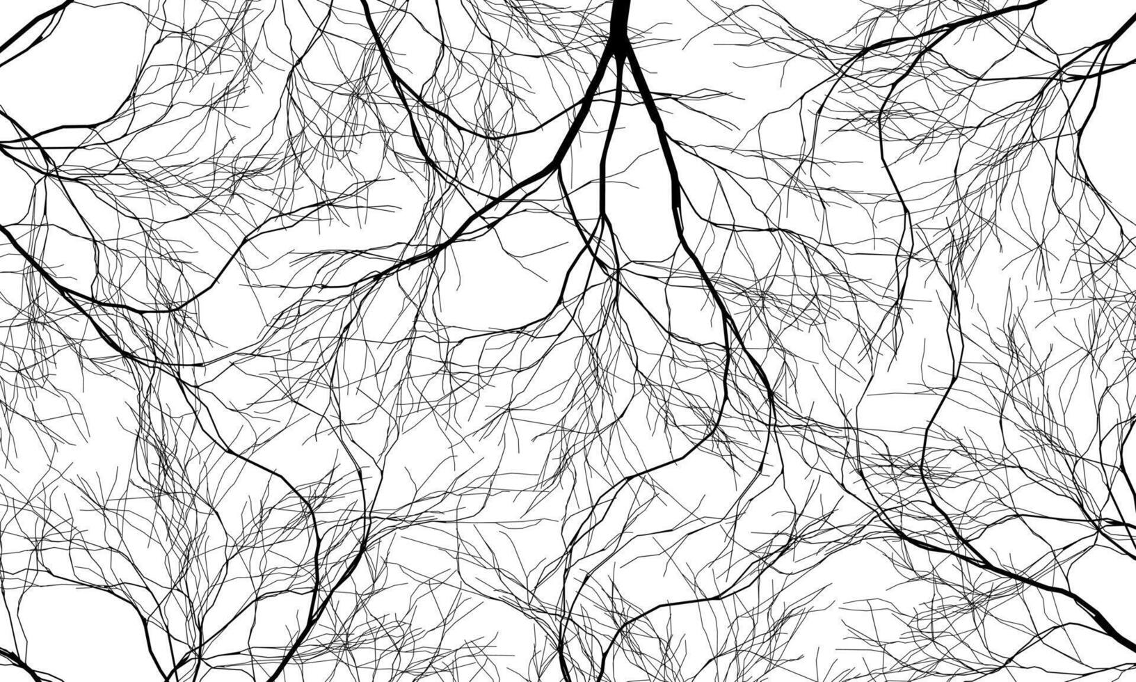 Abstract black roots pattern decorative white background. Line art tree. street nature art. vector