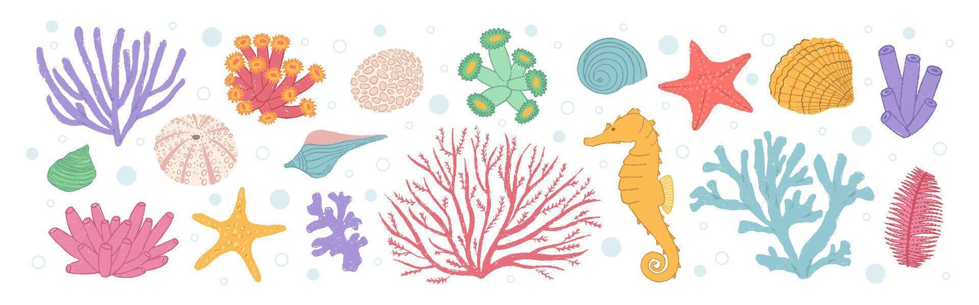 Set of various sea shells, starfishes and corals. Cartoon ocean aquarium plants. Underwater reef flora crayon illustration. Pastel chalk doodle vector