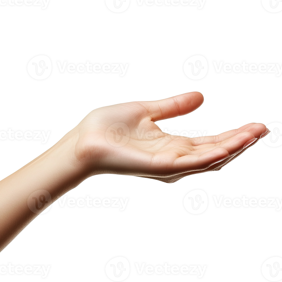An open human hand with palm facing upward showing skin tone png