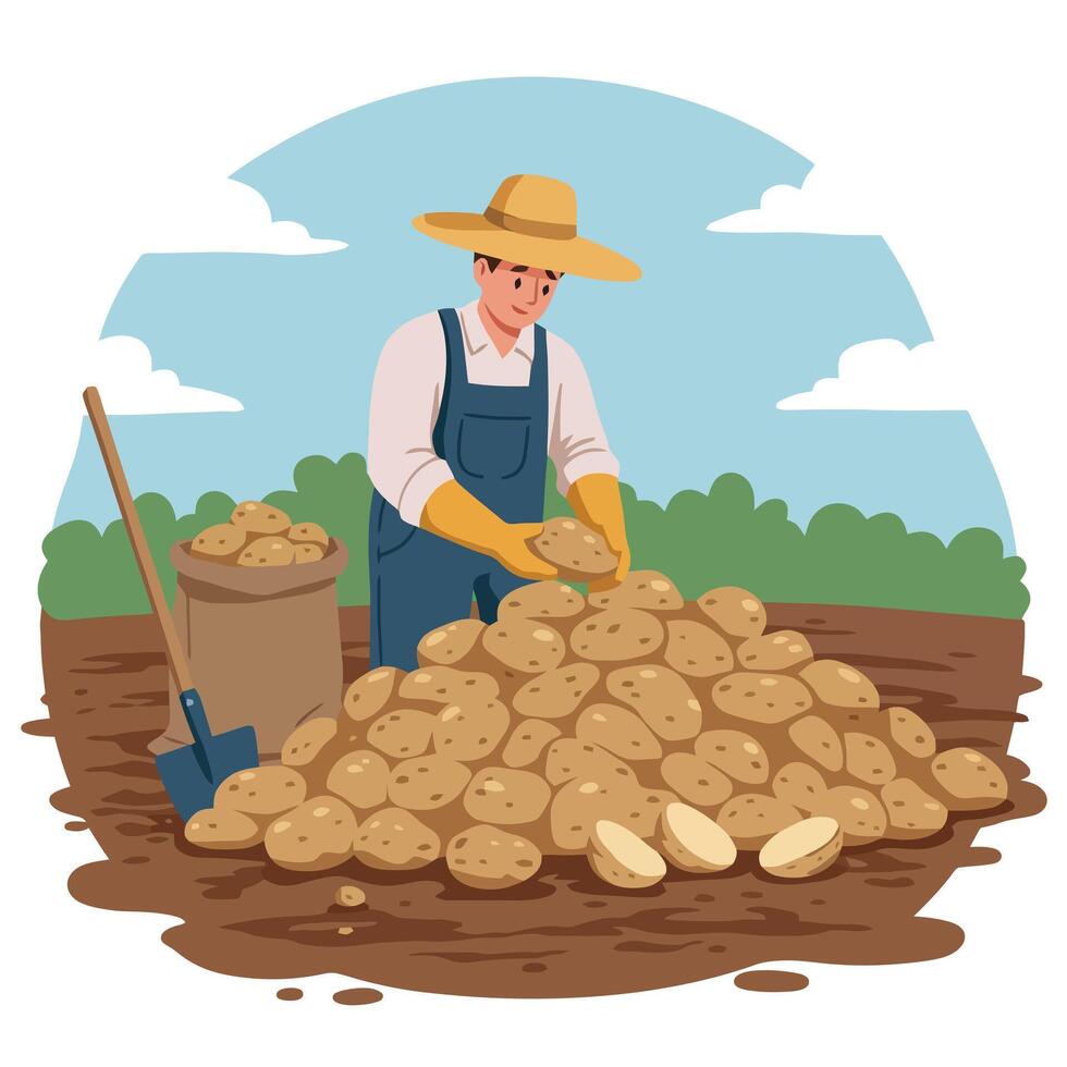 Farmer Harvesting Potato Crop in Field with Bag and Shovel vector