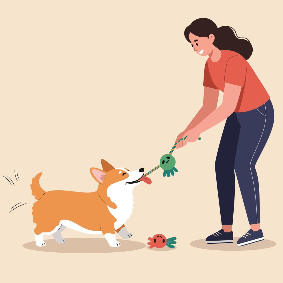 Playing with Dog Young Woman Having Fun with Corgi Indoors vector